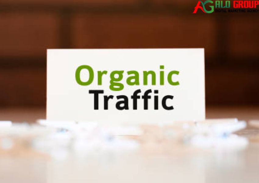Organic traffic là gì